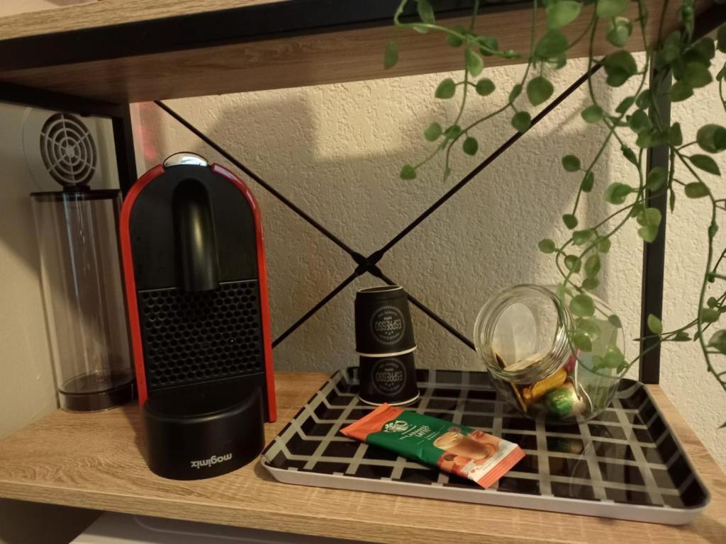 Appartement Calme Et Bien Situe Tarbes Zewnętrze zdjęcie